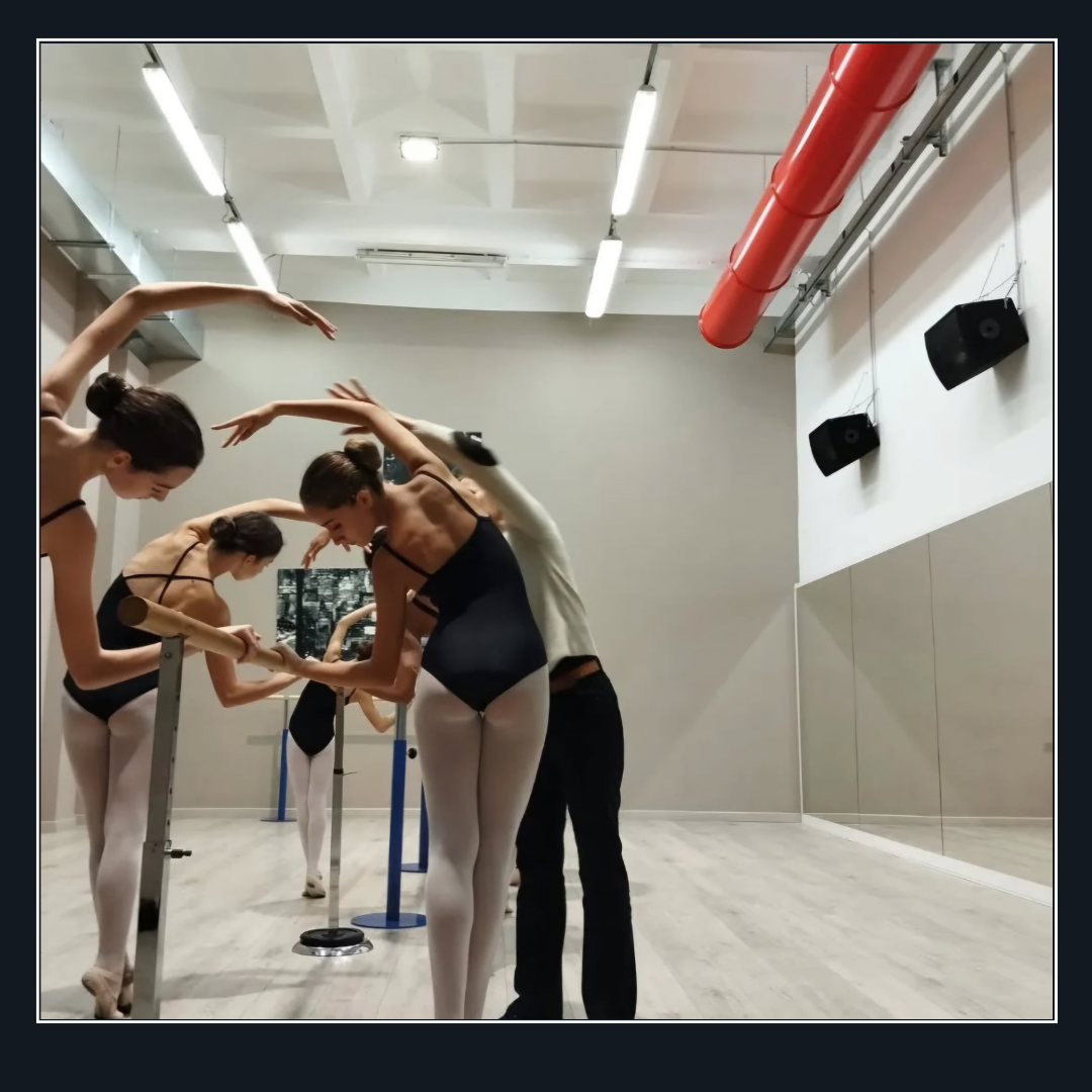 Fly & Dance